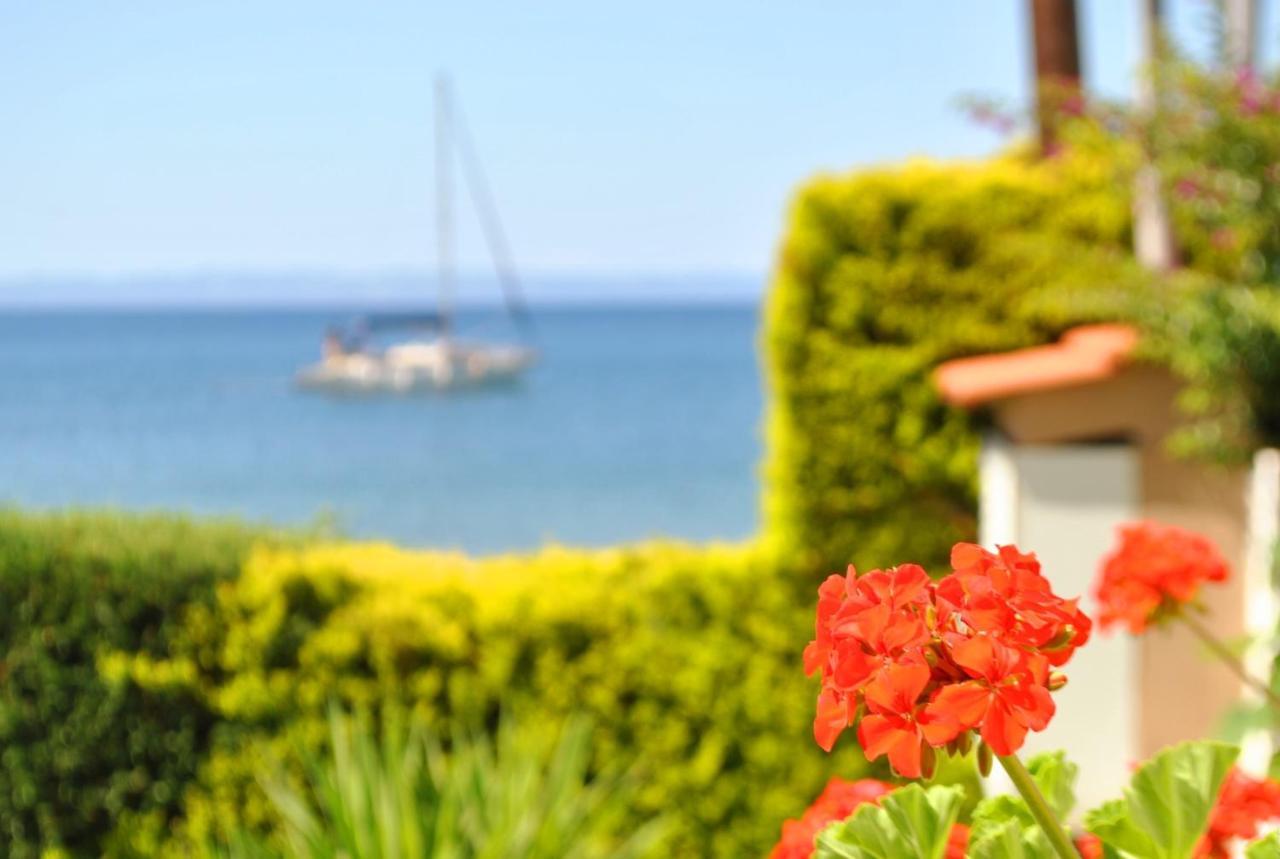Christina'S Sea House Nikiti (Sithonia) Exterior foto